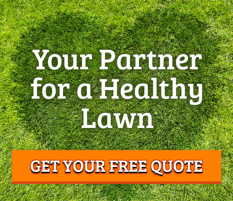 Happy Green Grass saying Tuff Turf Molebusters is Your Partner for a Healthy Lawn