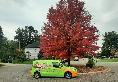 A bright green business vehicle parked beside a stunning red tree, showcasing autumn colors in Grand Rapids, MI