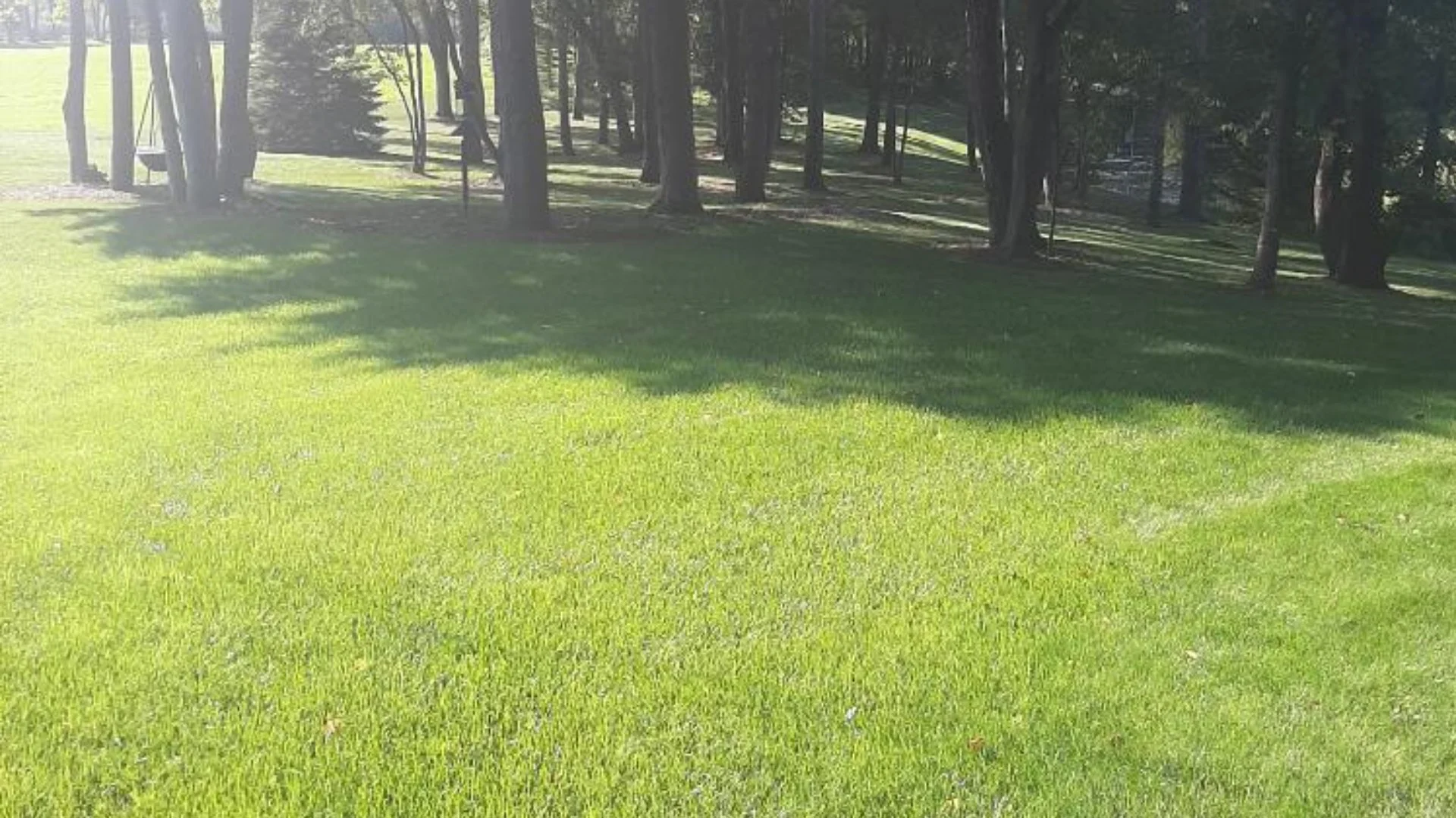 Prepare Your Lawn for Spring Fertilization by Mowing It First