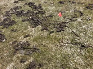 20150327_145129