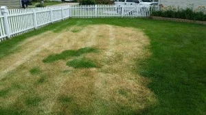 Pool cover on grass