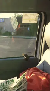 An Unlikely Companion