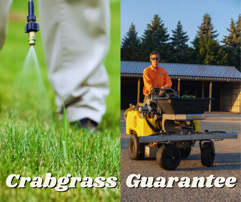 West Michigan Lawn Care - The Crabgrass Guarantee