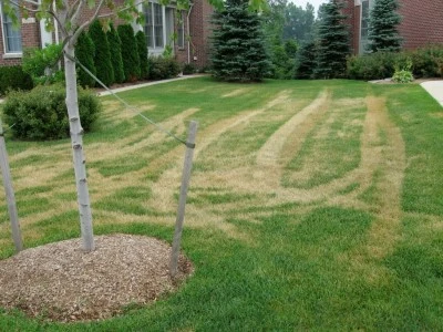 Burned tire tracks in the lawn