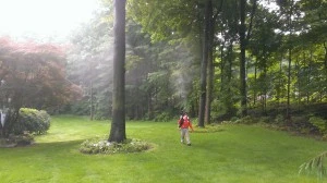 Mosquito Abatement | Pest Solutions | Lawn Care
