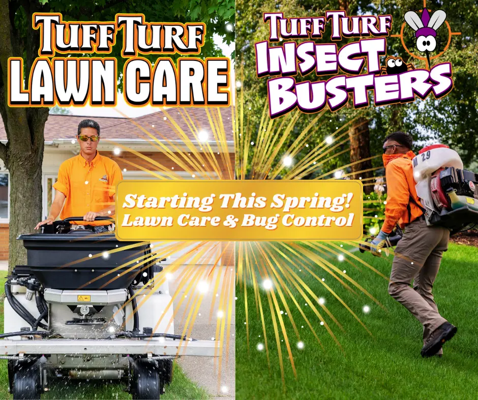 West Michigan Lawn Care and Bug Control - Why It's Critical To Do Both