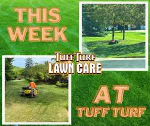 West Michigan Lawn Care: Should I Winterize My Yard?