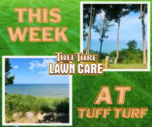 West Michigan Lawn Care: Lush Green Lake Michigan Shoreline Grass