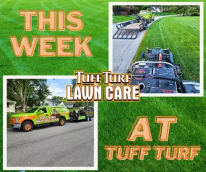 West Michigan Lawn Care: Core Aeration
