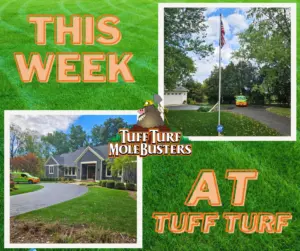 West Michigan Mole Control: IMPORTANT Fall Mole Info