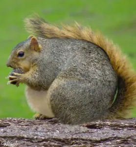 Did You Eat Too Much These Holidays?