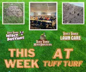 West Michigan Lawn Care: 2024 Season Kickoff!