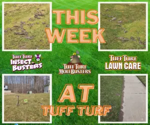 West Michigan Lawn Care: The Most Active Time Of The Year!