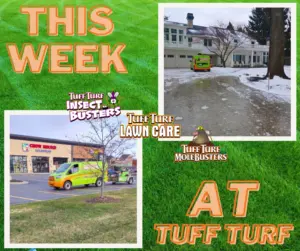 West Michigan Lawn Care: Spring = Snow?!