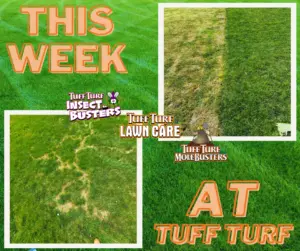 West Michigan Lawn Care: The Tuff Turf Difference
