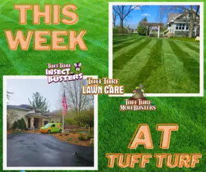 West Michigan Lawn Care: Beautiful Properties & Lawns