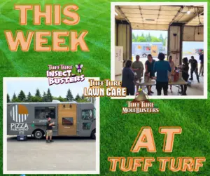 West Michigan Lawn Care: Celebrating Our 30th Successful Season Kickoff!