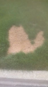 Pure Michigan