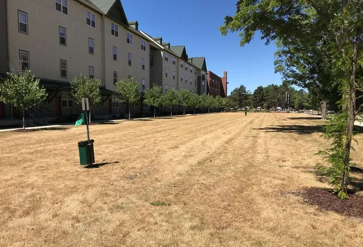 Helping your lawn during the heat