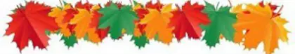 Mulch Your Leaves  | Lawn Care Experts