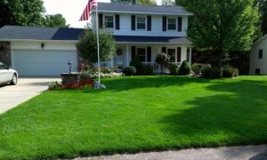 Client’s Lawn | Lawn Care