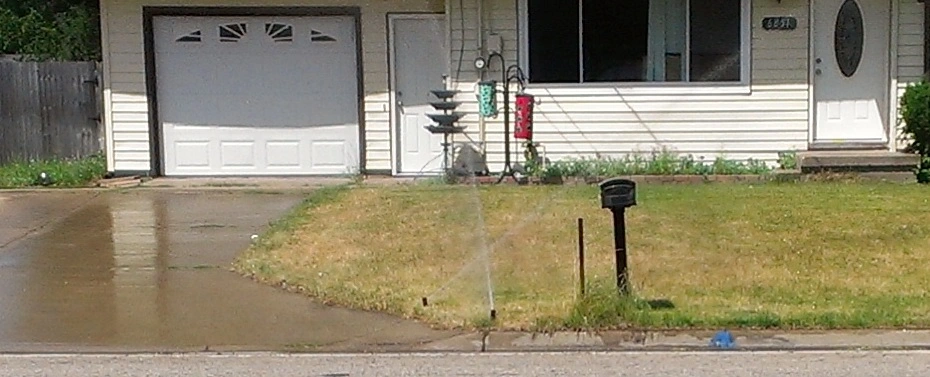 MSU Irrigation Tips