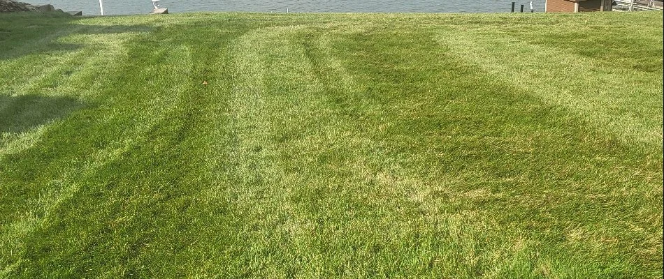 Beautiful turf by a lake in Fruitport Charter Township, MI.