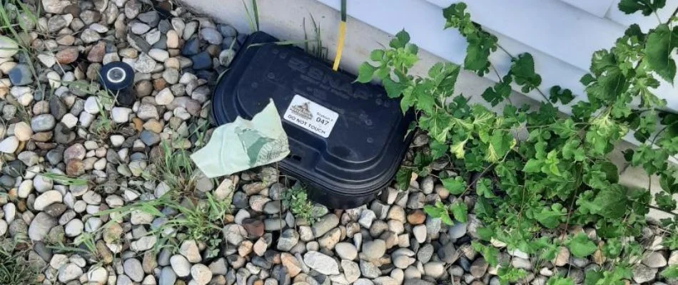 Chipmunk box on a property in East Grand Rapids, MI.