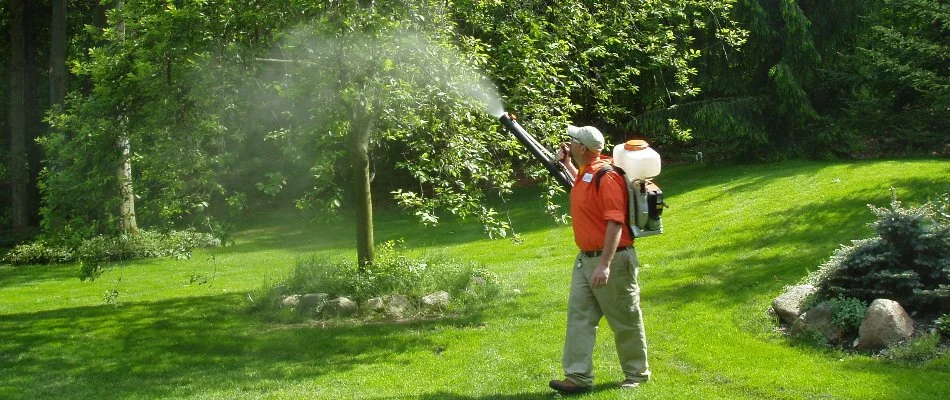Crew misting mosquito control treatment in a yard in Marne, MI.