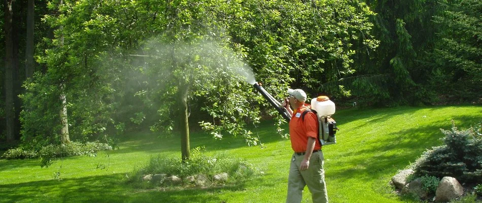 Crew misting mosquito control treatment on a tree in Caledonia, MI.