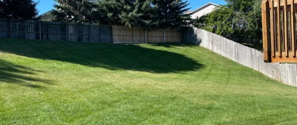 Fence around a fertilized green lawn in Wyoming, MI.