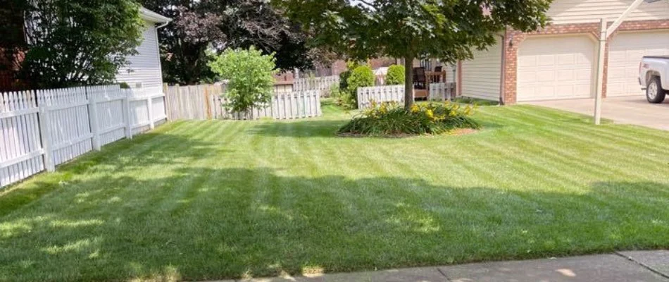 A front yard in Nunica, MI, with a lawn, tree, and plant bed.