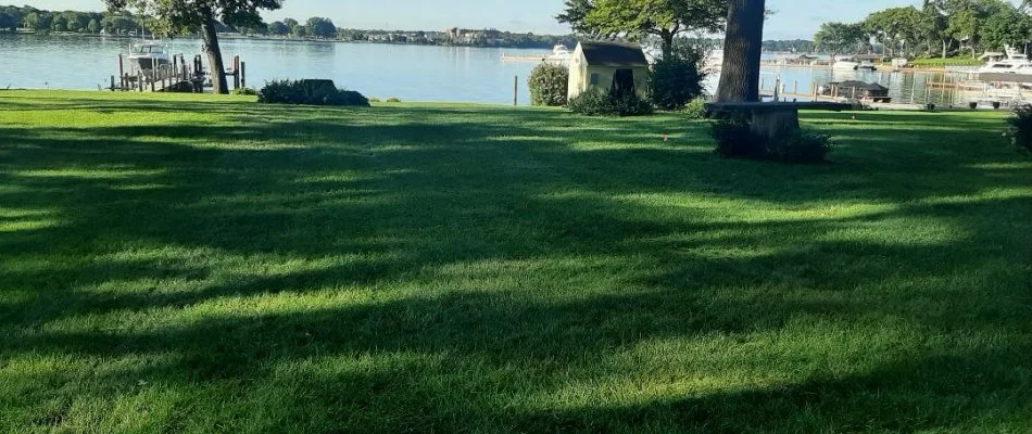 Grass in shade near lake.