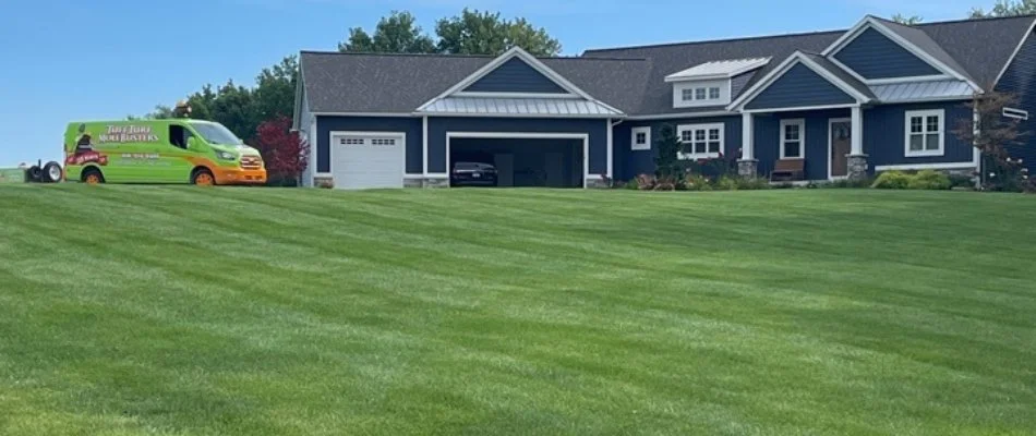 Healthy, green lawn in South Haven, MI.