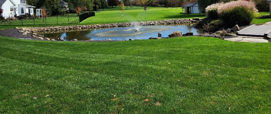 Green lawn along a pond with a fountain in Grand Rapids Charter Township, MI.