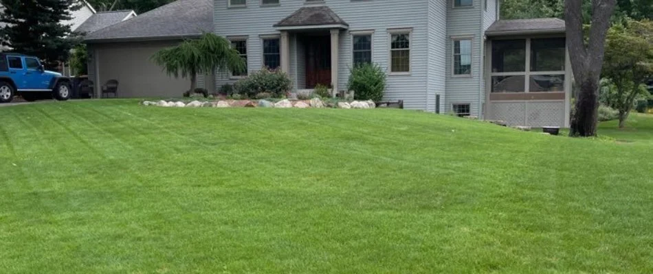 Green lawn in Grand Rapids, MI, after gypsum treatment.