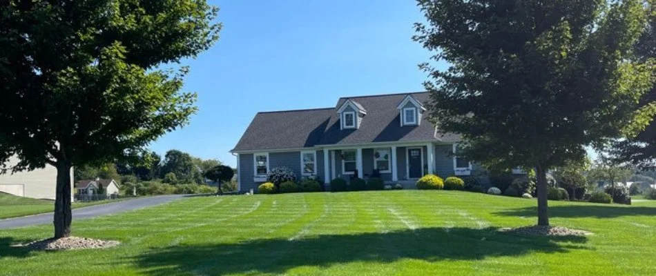 Green lawn with two trees on property in Ionia, MI.
