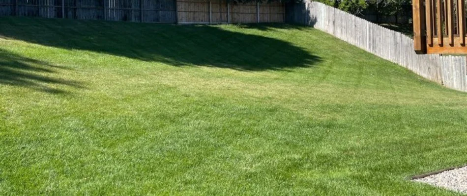 Healthy lawn in a fenced backyard in Oshtemo Charter Township, MI.