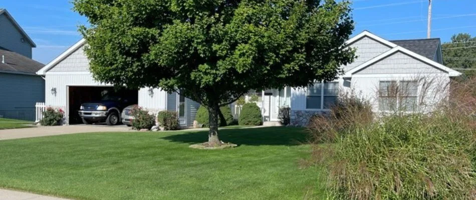 Green lawn with large tree in Alto, MI.