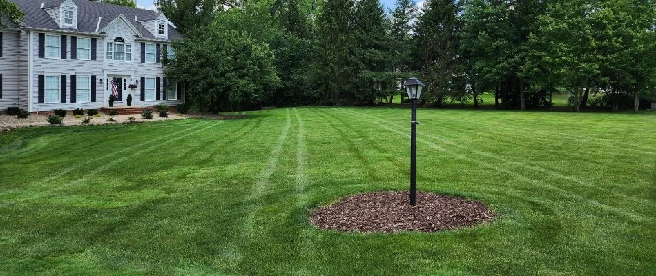 Large, green lawn in Mattawan, MI, with a mulch bed and lamp post.