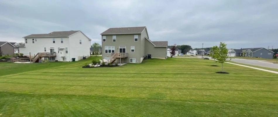Lawn with fertilizer stripes in Dorr Township, MI.