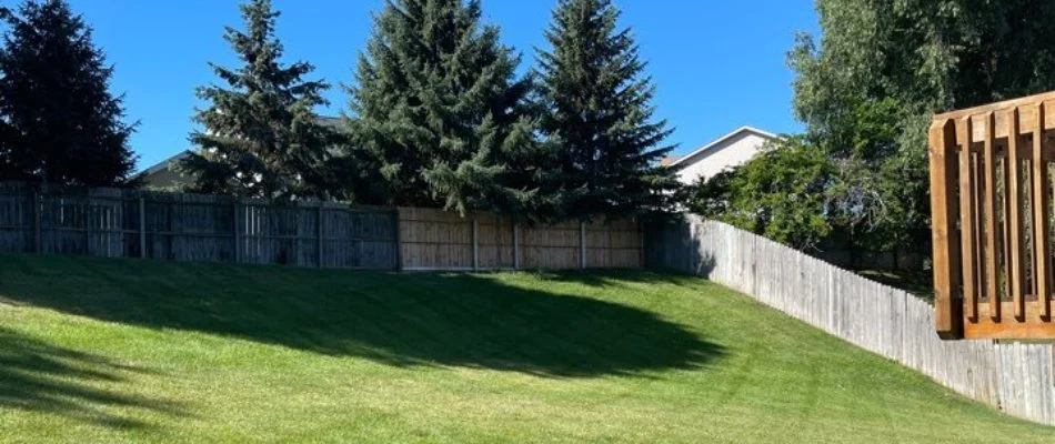 Lawn with fence and shade in Fennville, MI.
