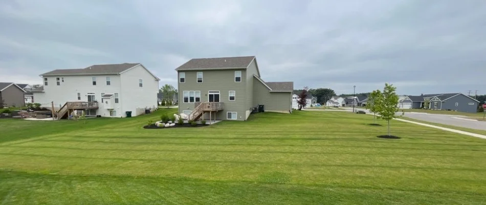 Lawn with fertilizer stripes on a lawn in Lowell, MI.