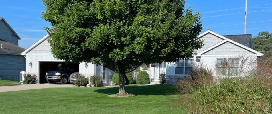 Lawn with large tree in Lowell Charter Township, MI.