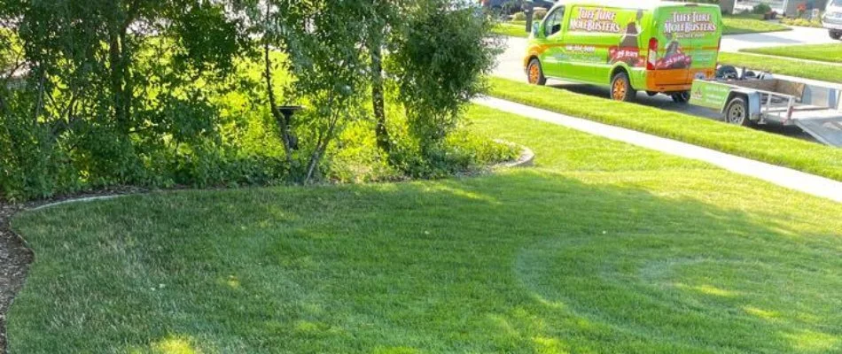 Lawn with van in background in Georgetown Township, MI.
