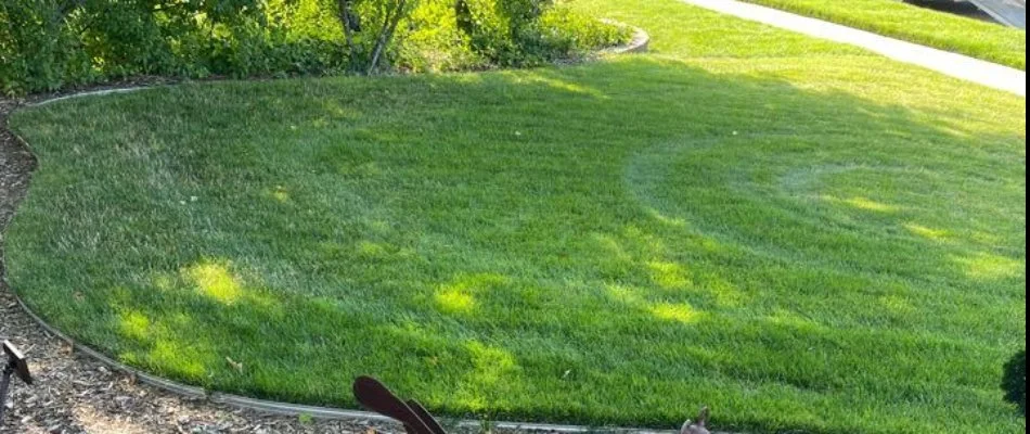 Lush, green grass in Middleville, MI, with a landscape border.