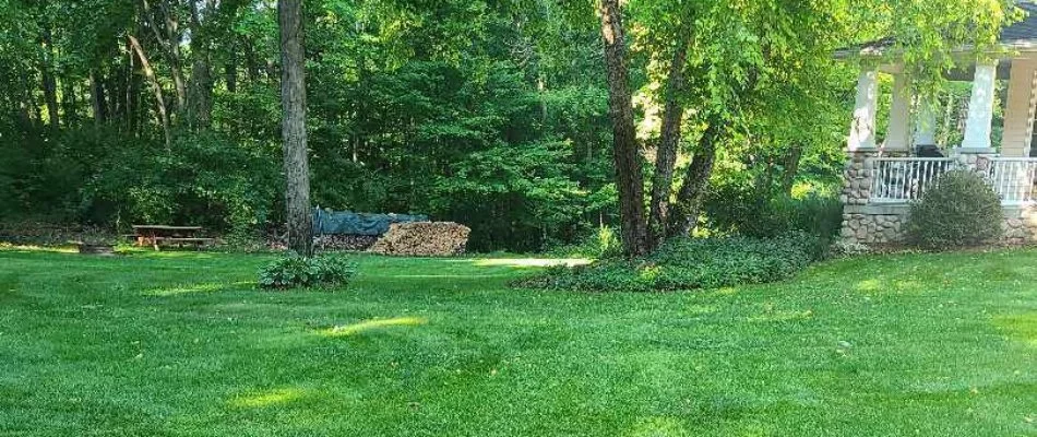 Lush green lawn in Caledonia, MI, with trees by a property.