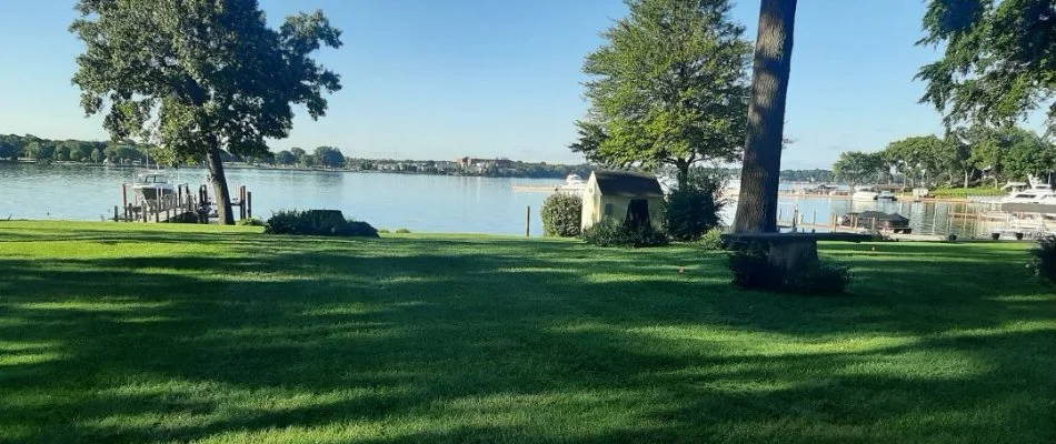 Lawn on the bank of a lake in West Olive, MI.