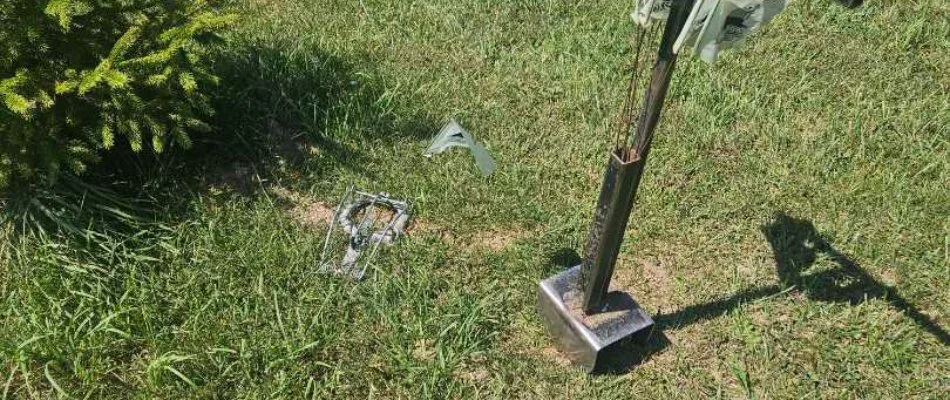 Mole trap and equipment on a lawn in Galesburg, MI.