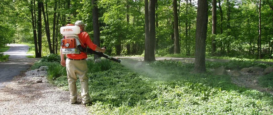 Mosquito control application near some trees in Walker, MI.